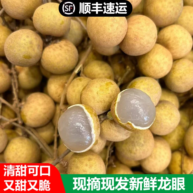 【顺丰包邮】广东高州石硖龙眼现摘现发核小肉厚新鲜应季龙眼水果