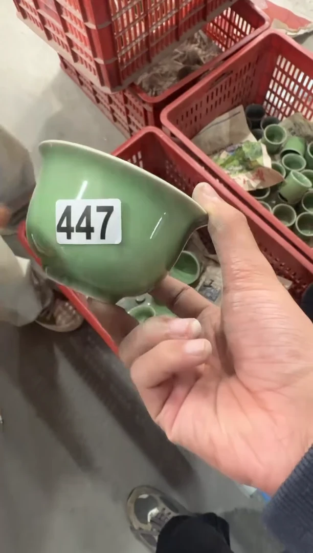 【447 】 八哥专拍