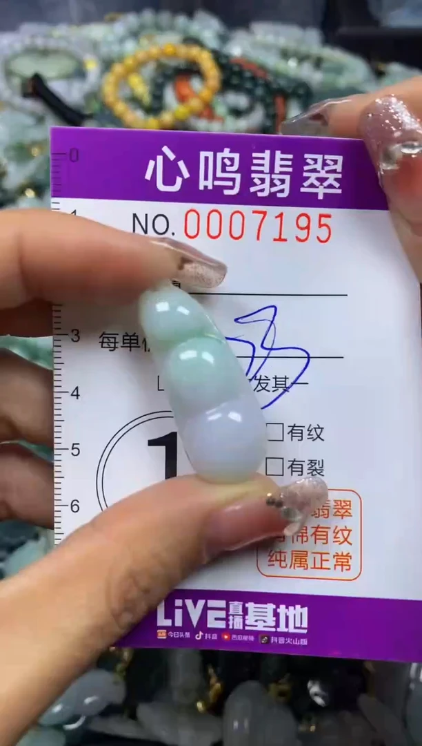 【闪购商品】翡翠颈饰未镶嵌闪购007195