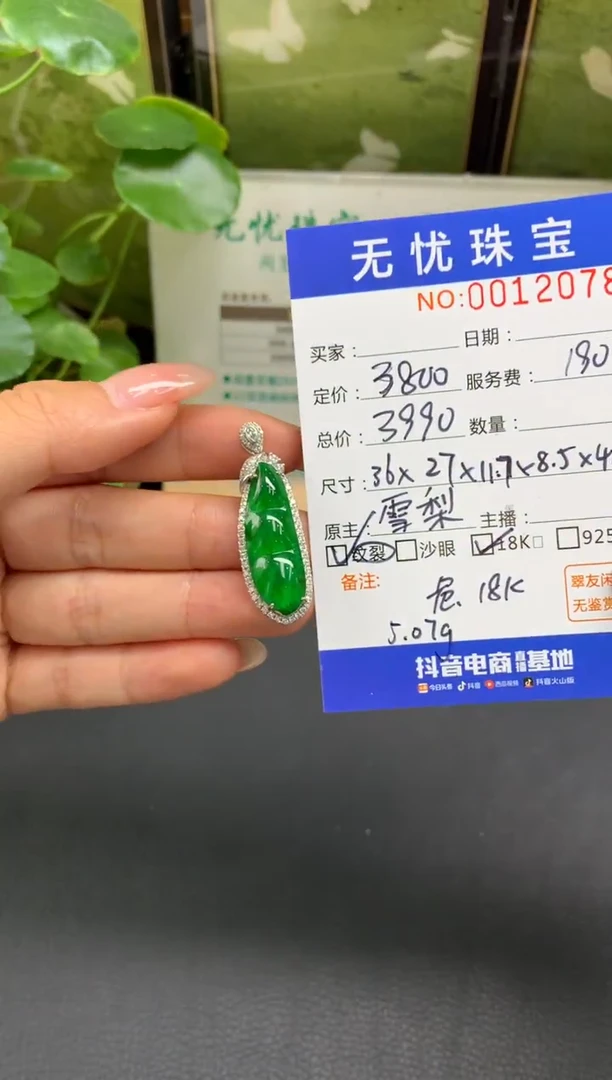 18K金镶嵌定制翡翠波***衣E975