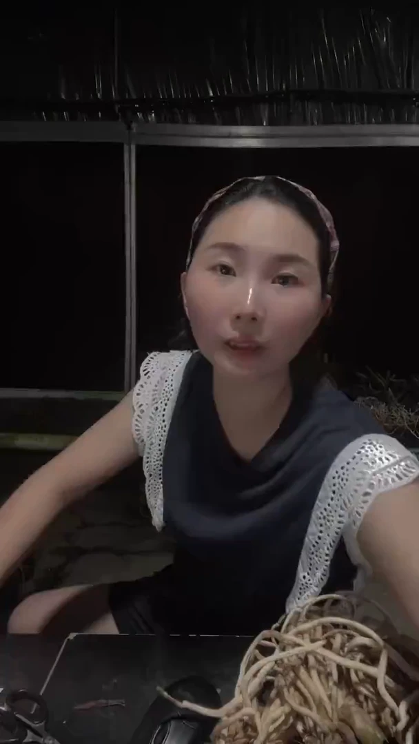 大部分开放少量花苞市长红4苗带花苞