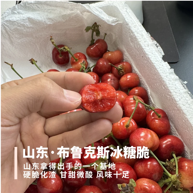 【仅摘5天，随时下架】布鲁克斯樱桃 山东冰糖脆 脆甜带酸风味足 4斤