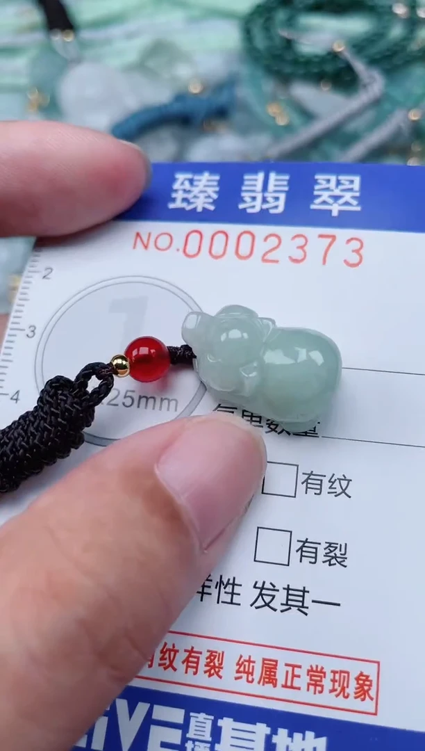 翡翠未镶嵌颈饰.0002373