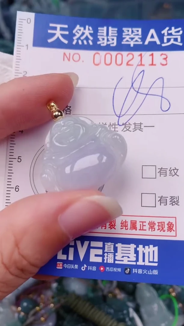 颈饰未镶嵌翡翠00002113