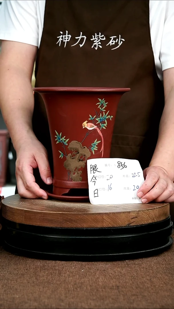 紫砂花盆花卉园艺856+Z