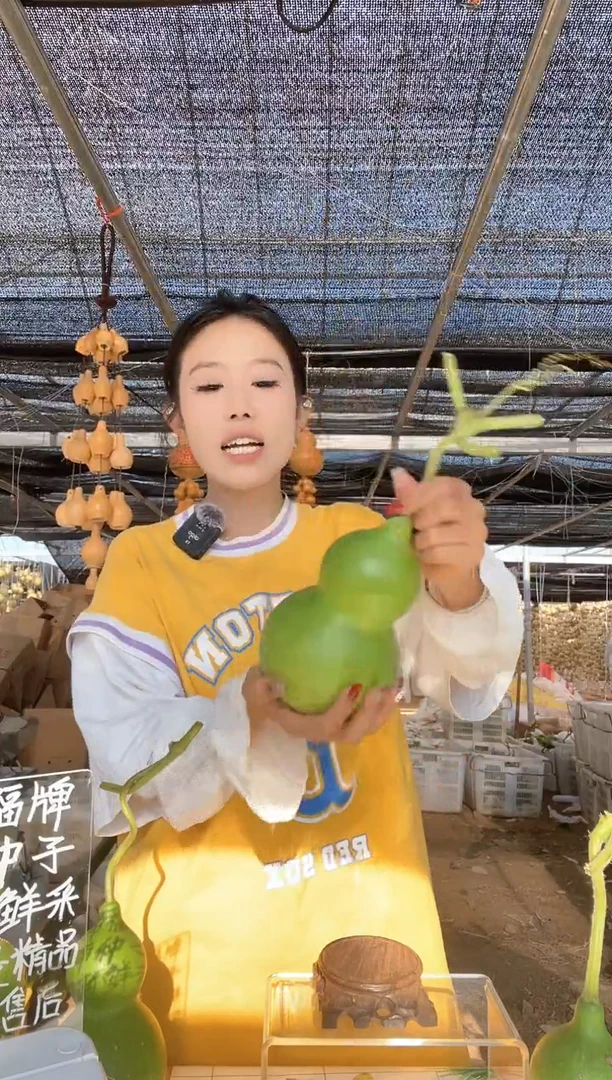075天然葫芦摆件 一物一拍龙头不保售后