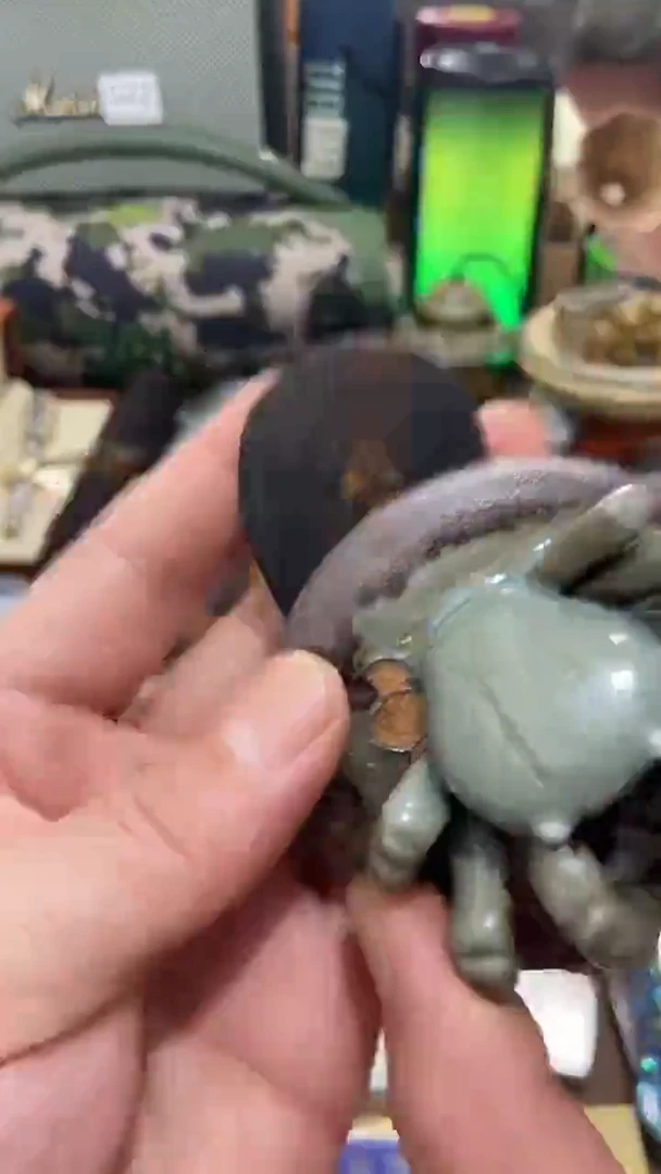 瓷片闪购商品  如图所示