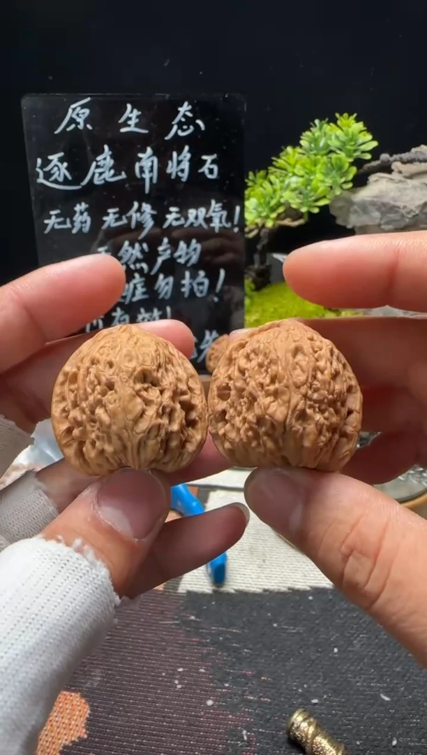 文玩核桃把件沉*.南将石
