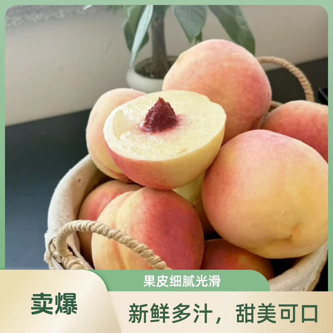 《表妹儿严选》阳山水蜜桃 桃香四溢 汁水充足 纯甜 中果江苏省