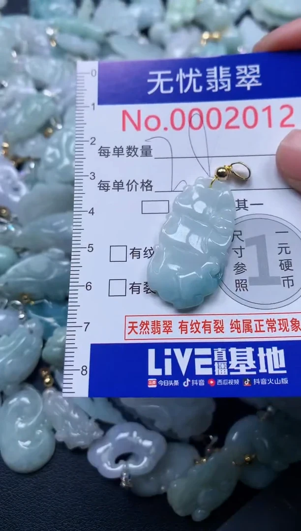 颈饰未镶嵌翡翠2012