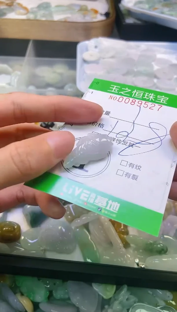 翡翠未镶嵌颈饰闪购0089527