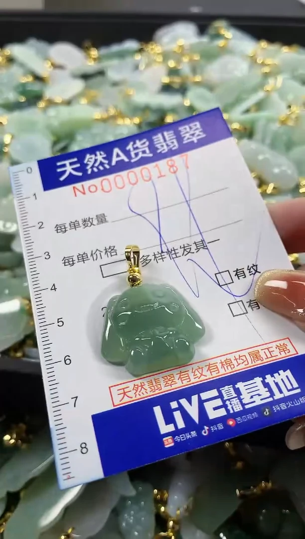 颈饰未镶嵌翡翠天然A货翡翠