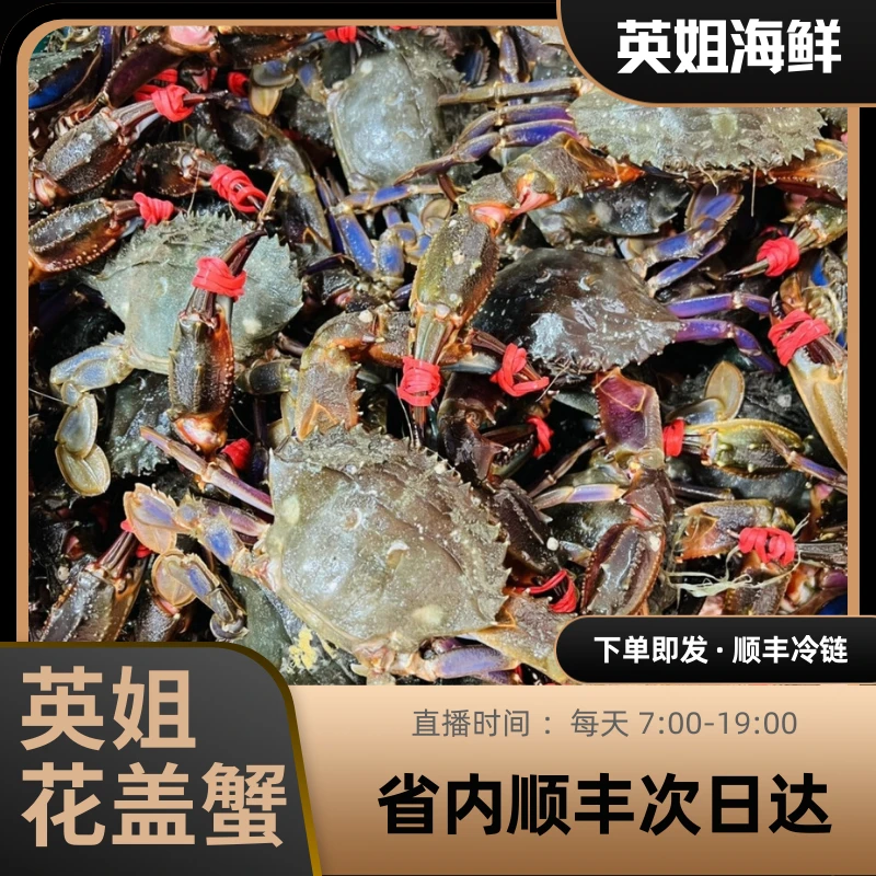 公花盖4斤起东北三省主城区下单 单只小1两左右【保鲜不保活】。