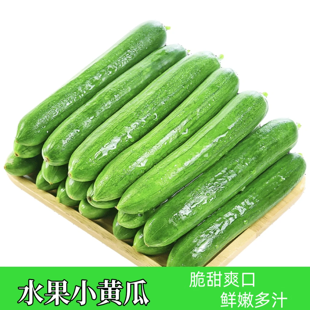 一整箱｜5斤水果黄瓜新鲜精品清甜1斤3斤凉拌沙拉爽口精选广西水果