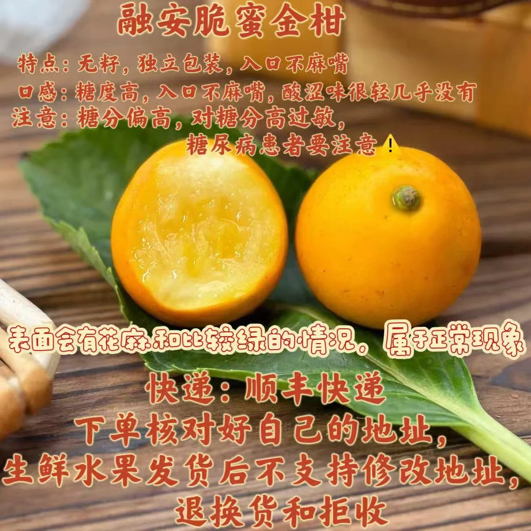 【海龙的果】广西融安第三代脆蜜金柑 新鲜采摘 顺丰快递