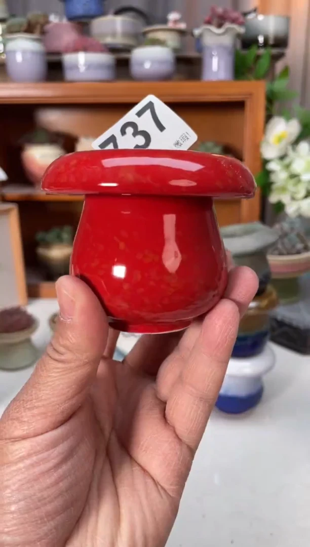 瓷片小*737小芳直播编号