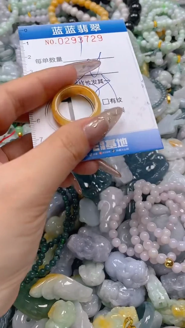 翡翠未镶嵌颈饰闪购0293729多样性发其一