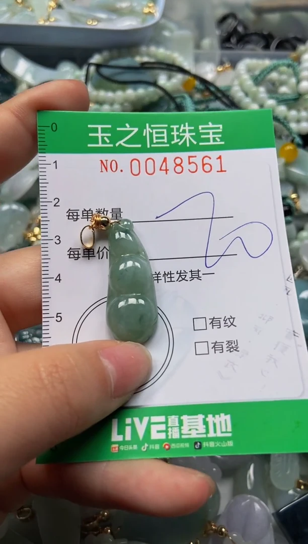 【闪购商品】翡翠颈饰未镶嵌闪购0048561
