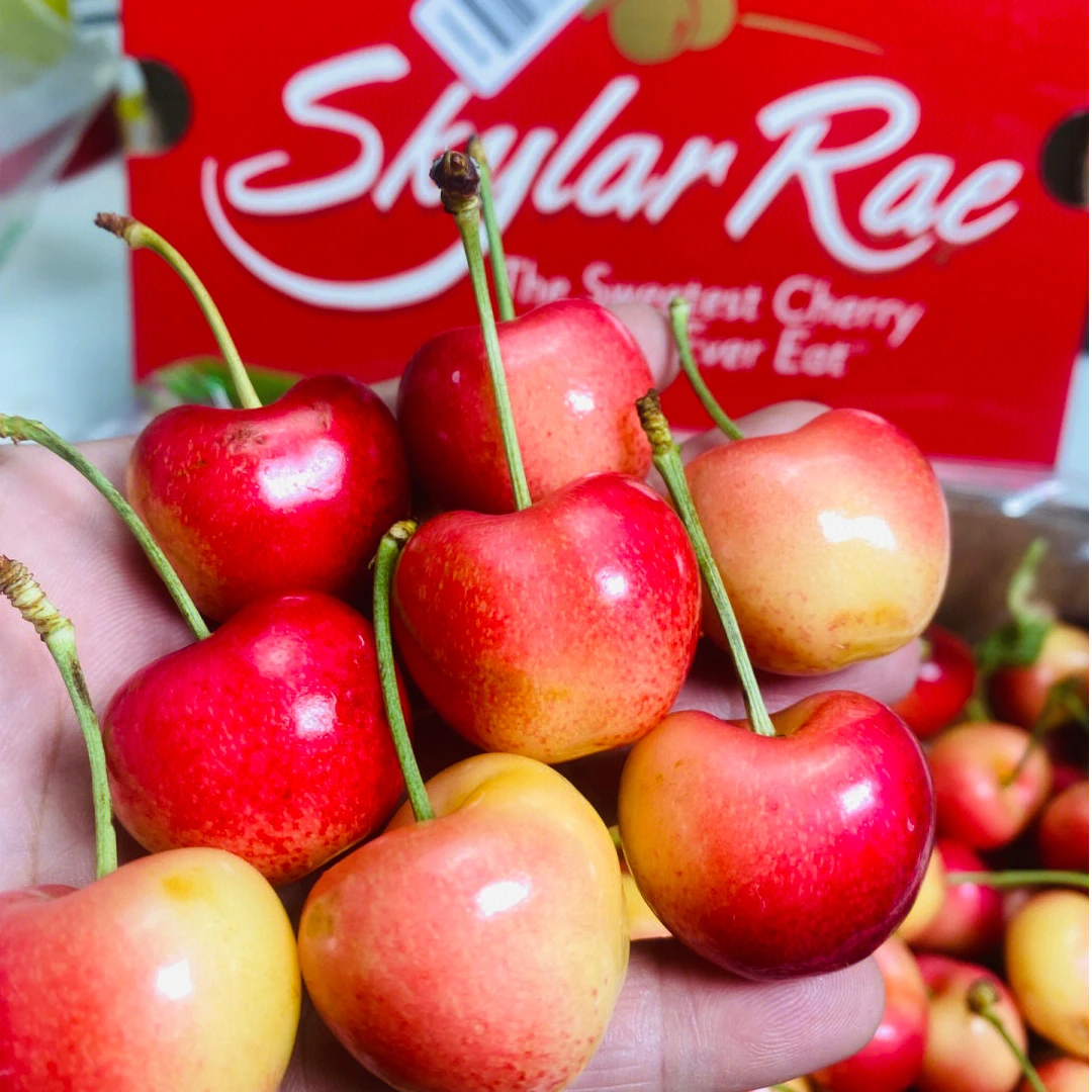 4斤智利空运斯凯拉雷Skylar Rae黄金车厘子J-3J包邮 内附果径卡