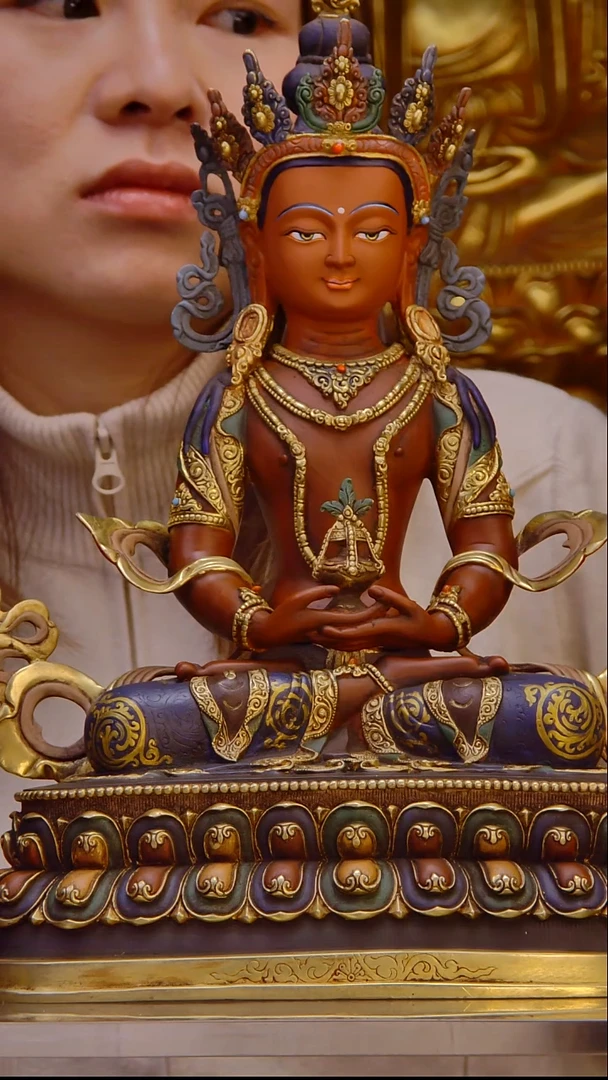 贝**'000000000000000000