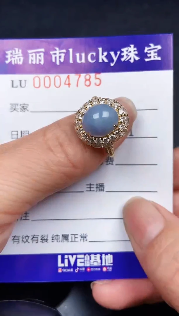 翡翠银S925镶嵌颈饰4785