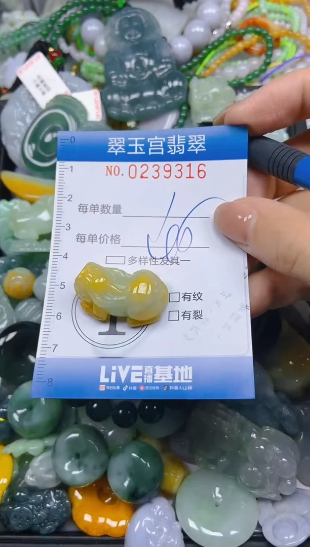 颈饰未镶嵌翡翠闪购C0239316