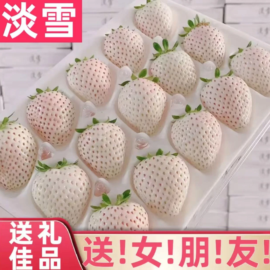 【顺丰快递】淡雪系列天使白草莓礼盒装香甜现摘新鲜水果送货上门