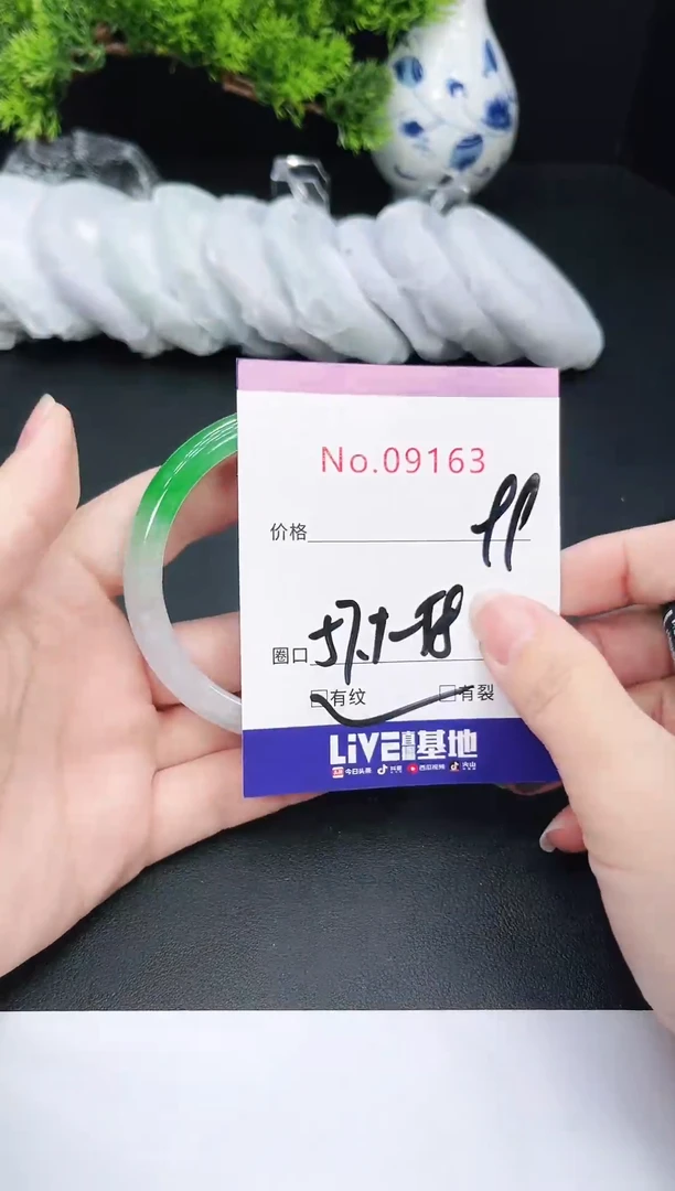 未镶嵌手镯翡翠9163