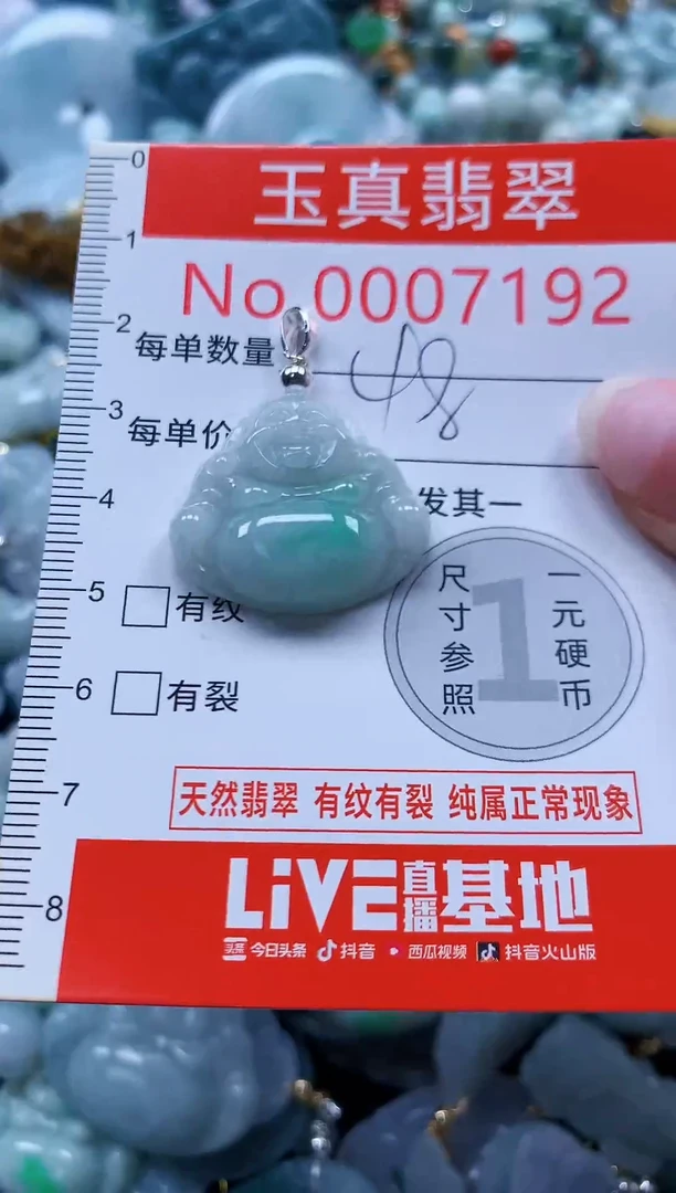 翡翠未镶嵌吊坠(不含链)7192