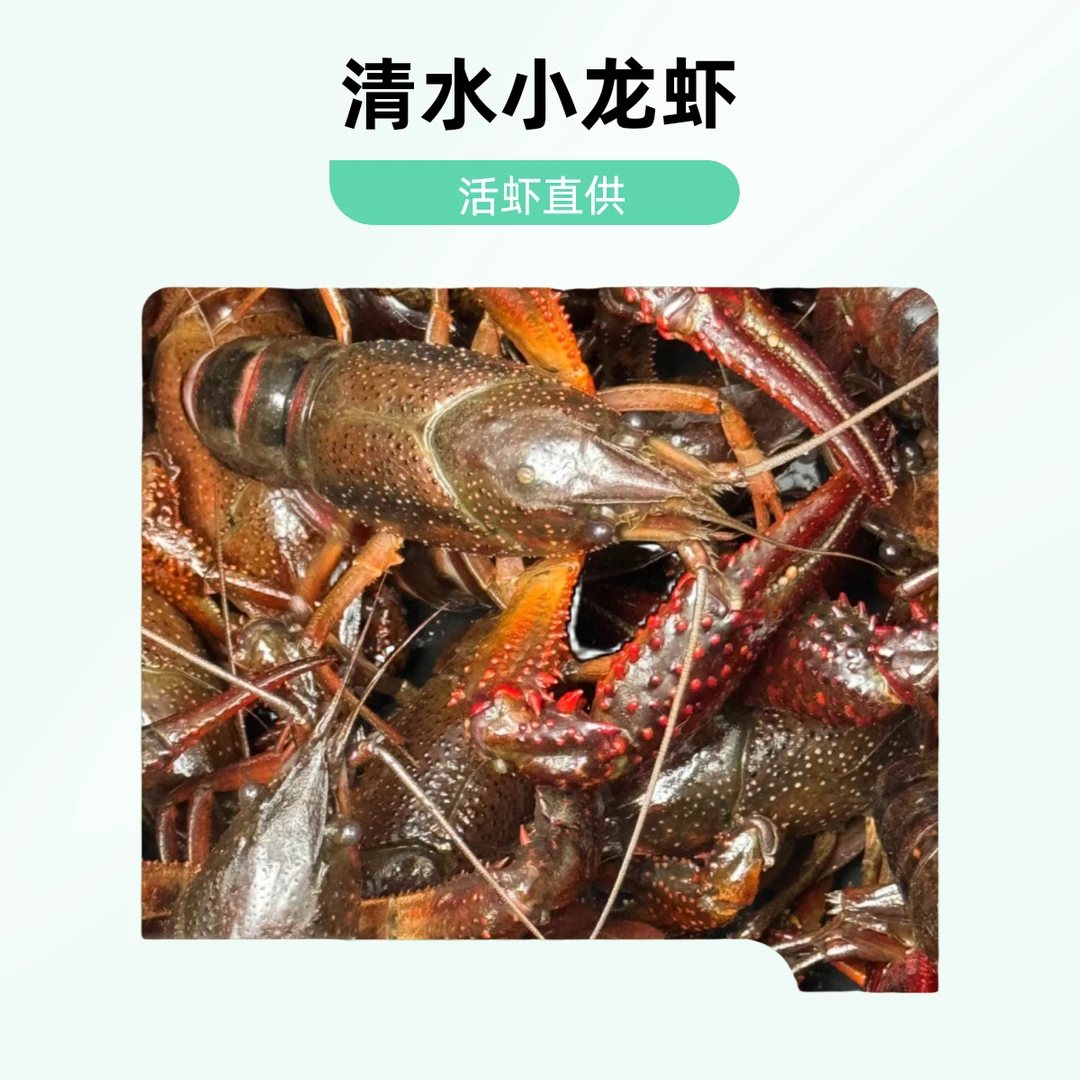 【丰鲜源】清水小龙虾（5-12斤）小龙虾活虾