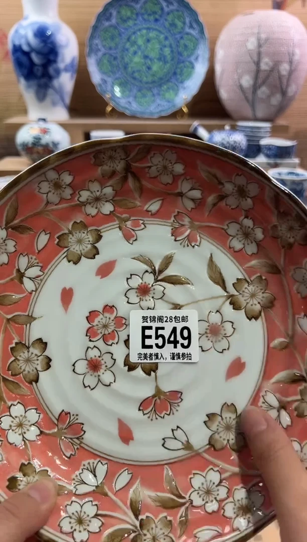 瓷片          E549
