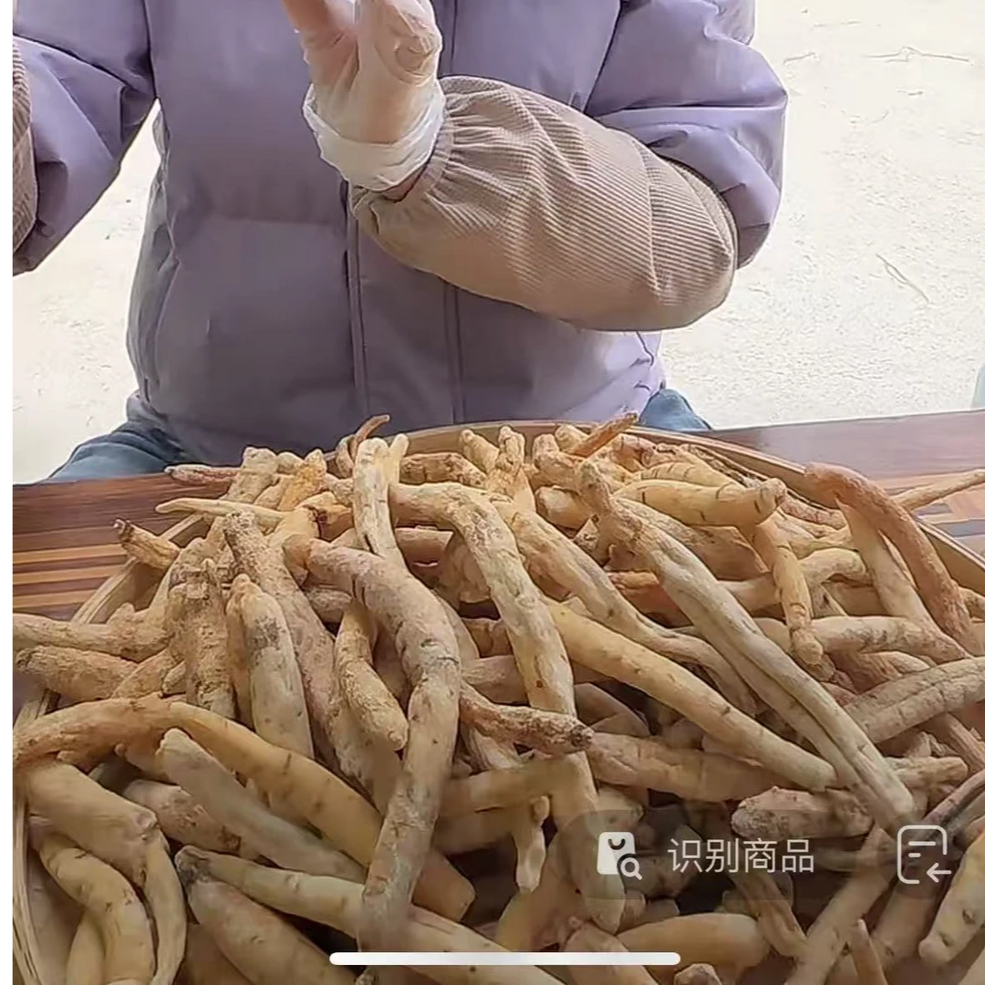 【山货藏沙参】