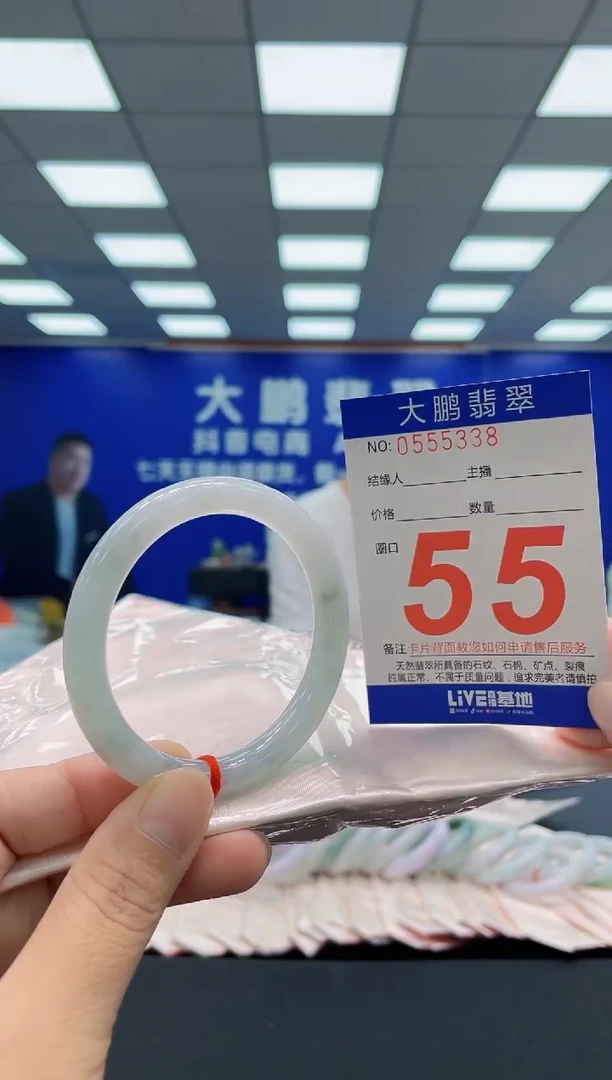 未镶嵌手镯翡翠AAAAAAAAA