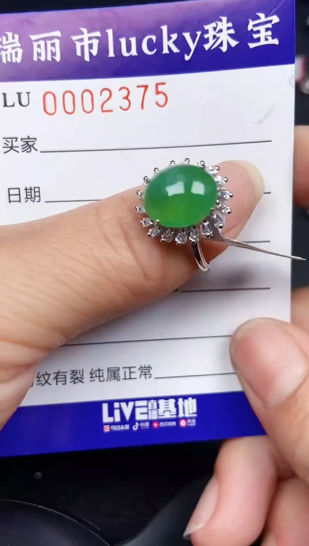 翡翠银S925镶嵌颈饰2375