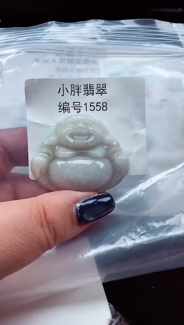 颈饰未镶嵌翡翠缅甸天然A货翡翠1558