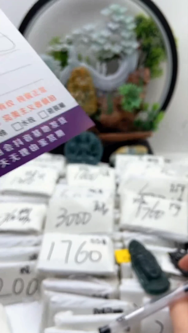 翡翠未镶嵌颈饰戒圈【品质一般能接受再拍】