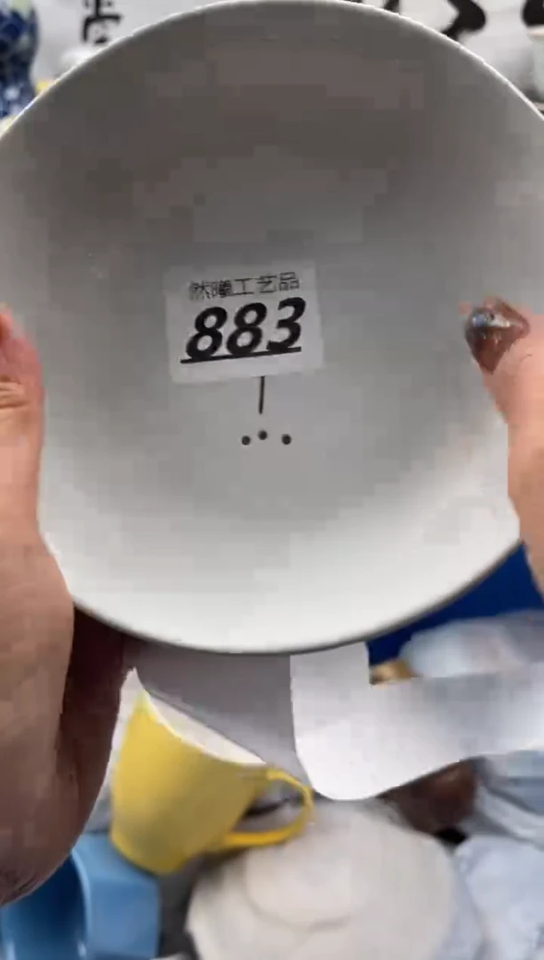 【闪购商品】瓷片883