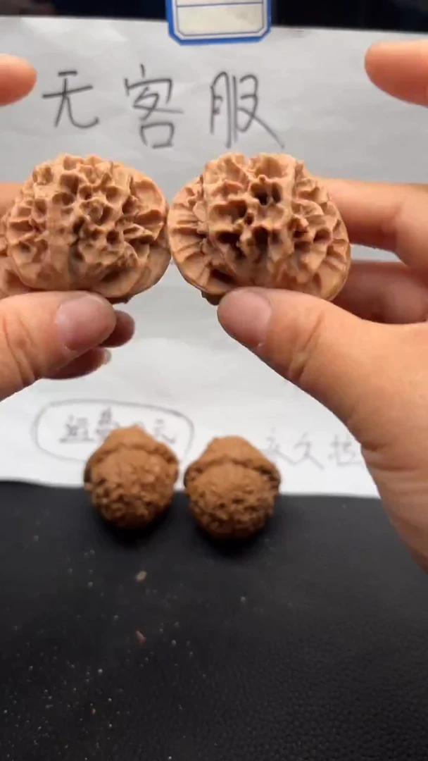 把件文玩核桃542龙纹