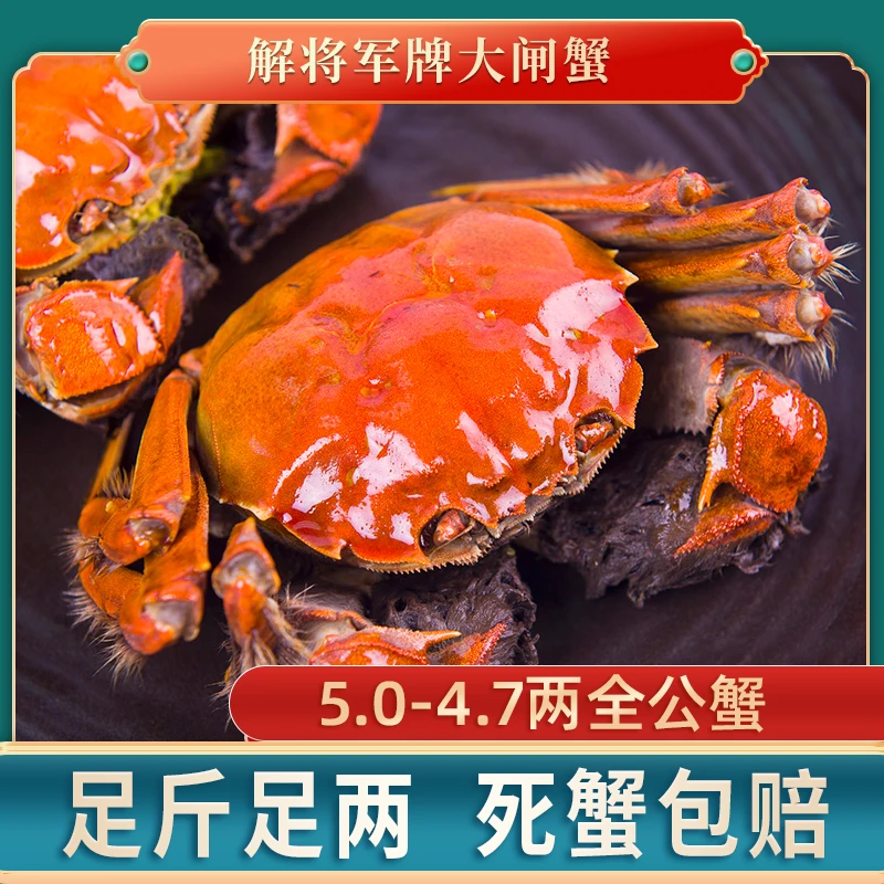 【活蟹】【解将军牌】全公蟹5.0-4.7两 6送4 到手10只
