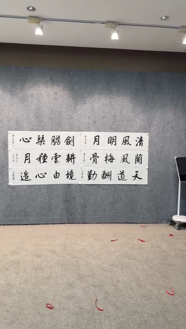 【闪购商品】书法pmb不二轩旗舰店国画PXY1