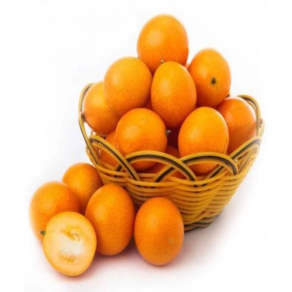 小糖豆纯甜口小金桔800g新鲜