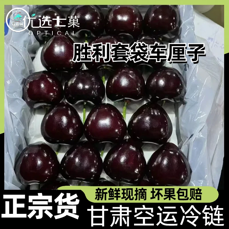 【发空运】甘肃胜利套袋大樱桃水果国产车厘子新鲜应季水果脆甜多汁