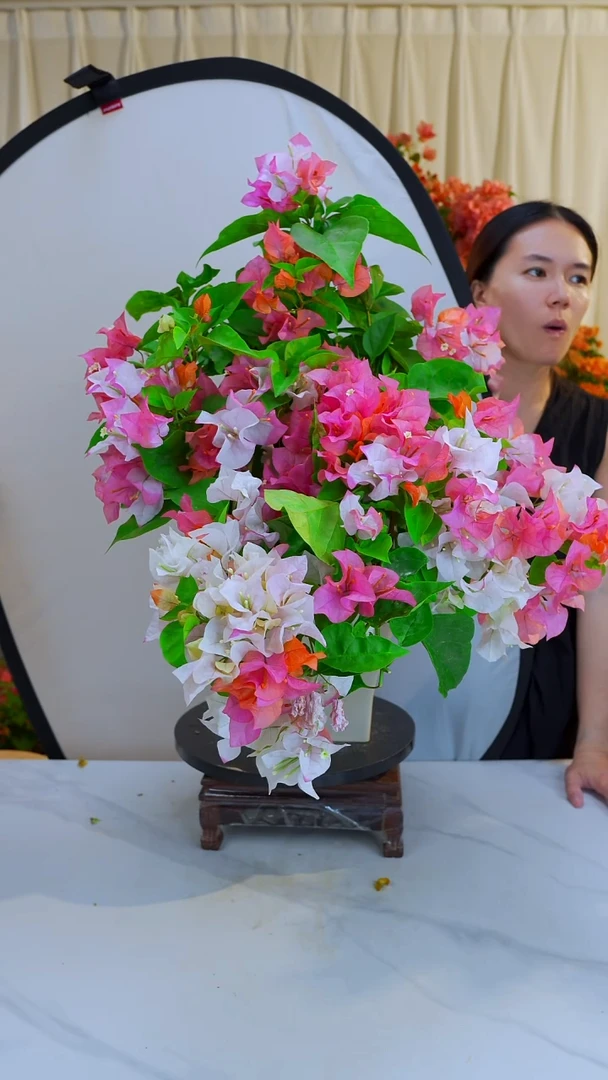 大部分开放少量花苞橙口红