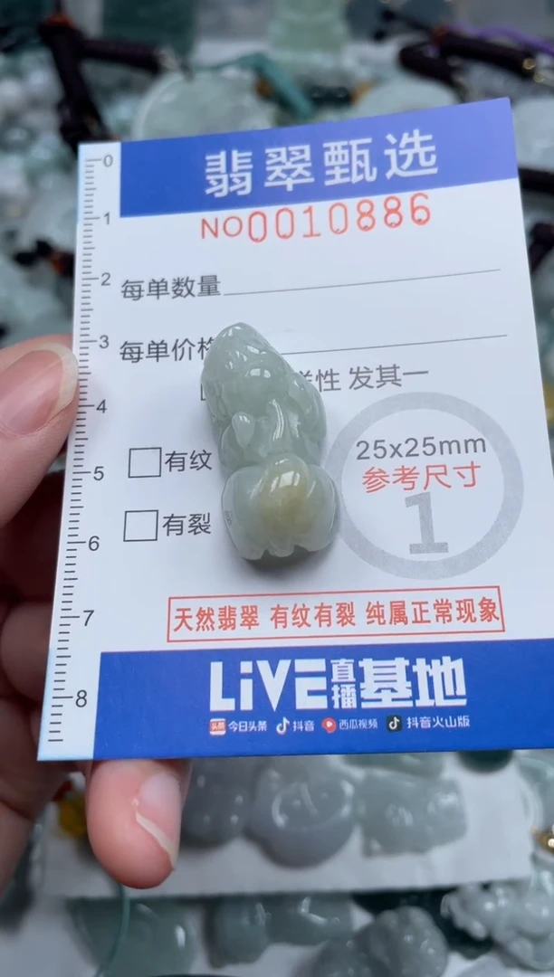 颈饰未镶嵌翡翠10886