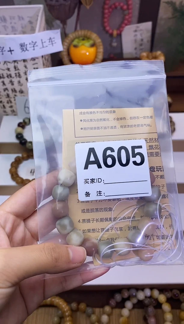 手串菩提根/象牙果12