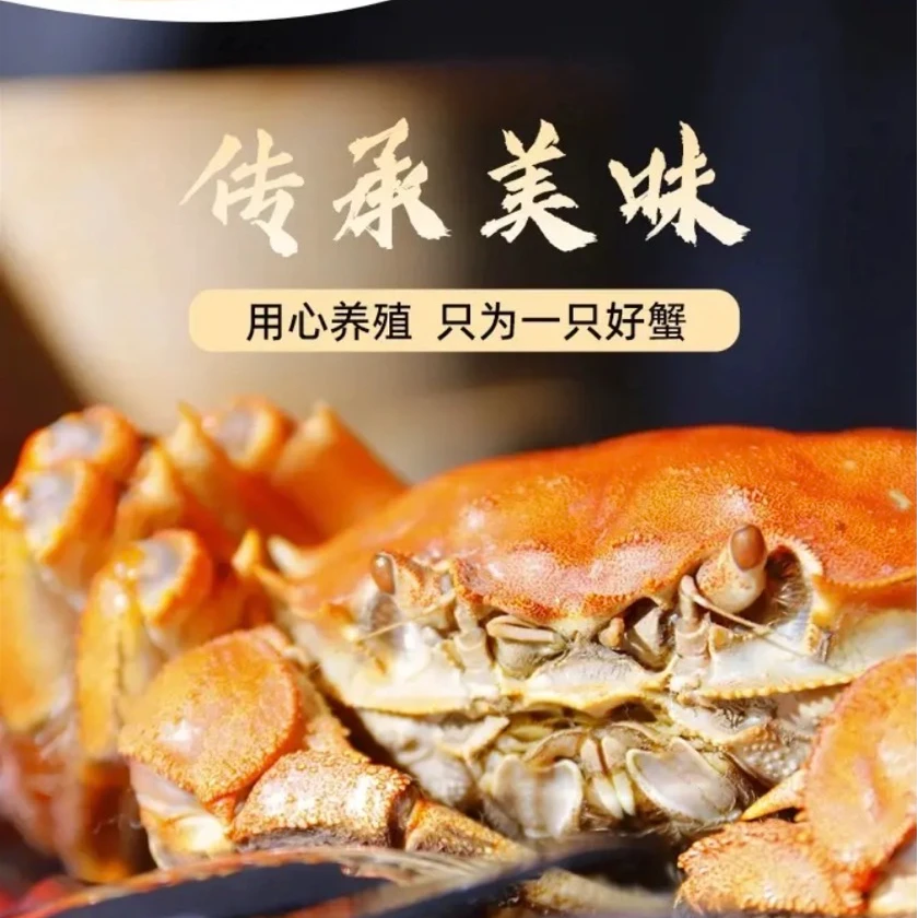 自产自销[江苏大闸蟹]2两全母10只礼盒装，产地鲜活直达