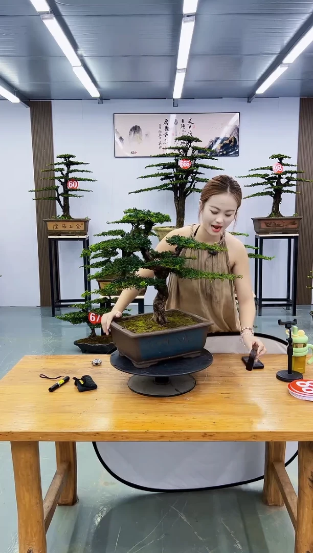 无花朵00000000000