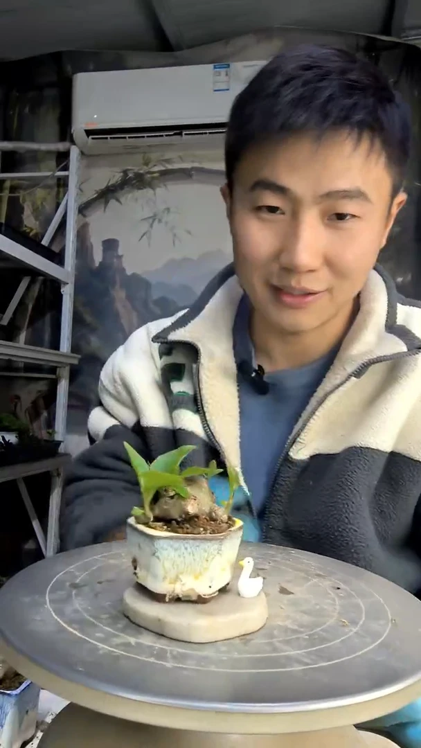 ໑****)中青园艺一物一拍花143