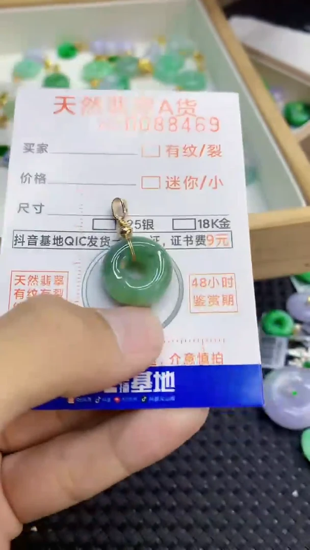 翡翠未镶嵌吊坠(不含链)              1