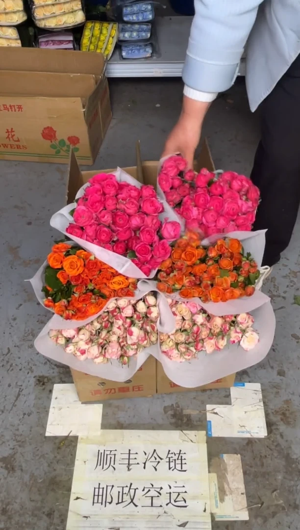 折射10枝+橙色芭比10枝+苏菲10枝